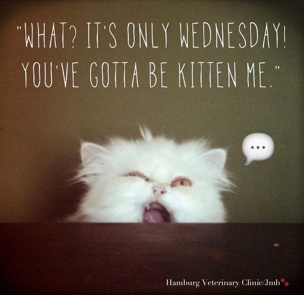 Fine its Wednesday humor