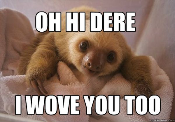 sloth love meme