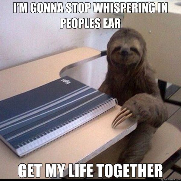 sloth whispering in ear meme