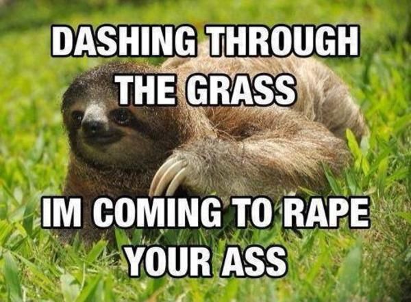 true rapist sloth meme