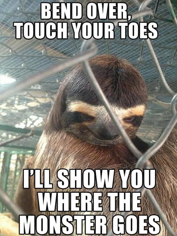 true sexual sloth meme