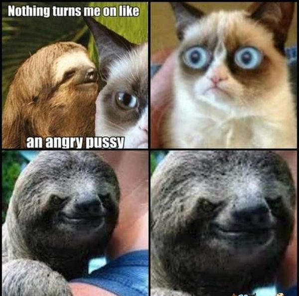 usual dirty sloth memes
