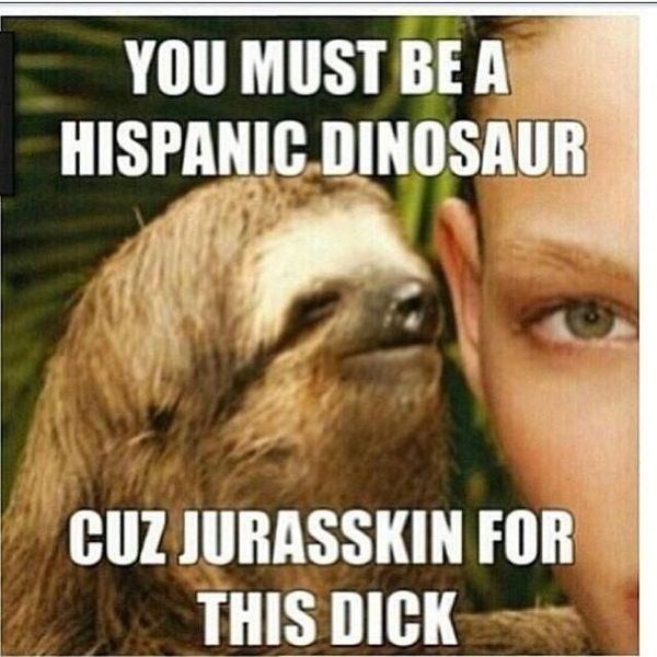 very funny perverted sloth memes