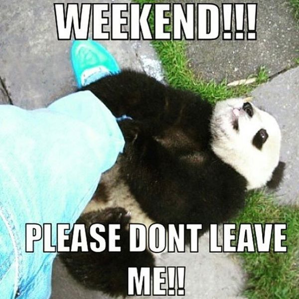 Weekend!!! Please dont leave me!!