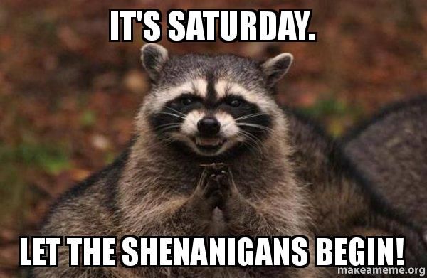It`s saturday. Let the shenanigans begin!