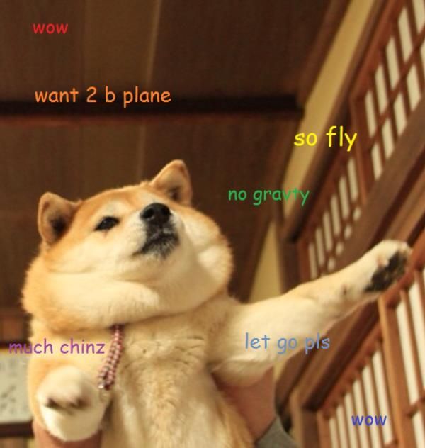 Wow want 2 b plane so fly no gravity much chinz let go pls wow