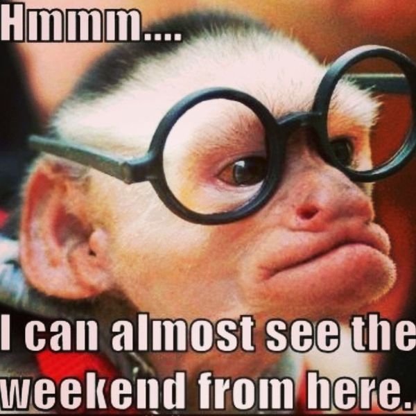 Hmmm.. I can almost see the weekend from here.
