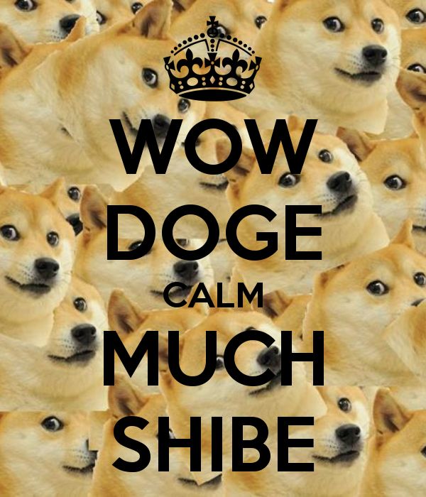 Wow doge calm much shibe