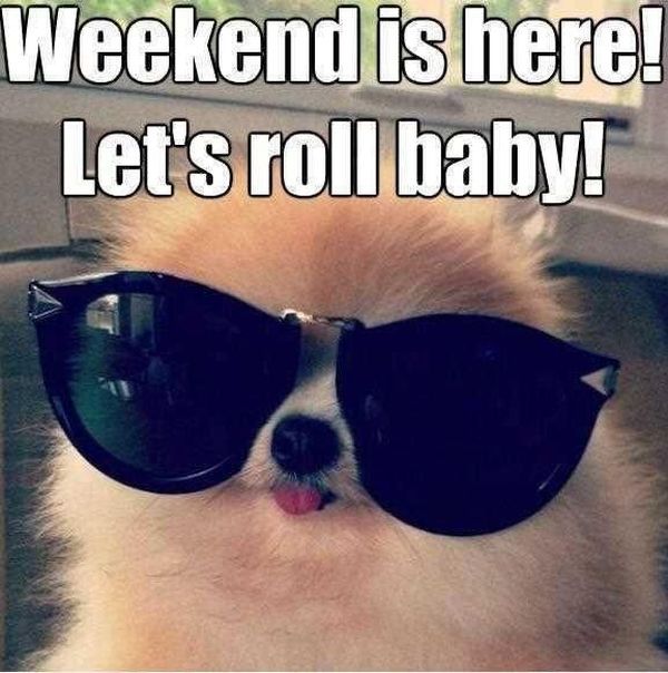 Weekend is here! Let`s roll baby!
