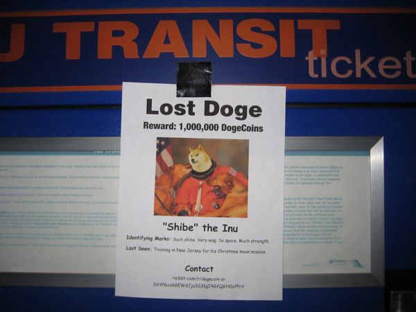 Lost doge reward: 1000000 dogecoins
