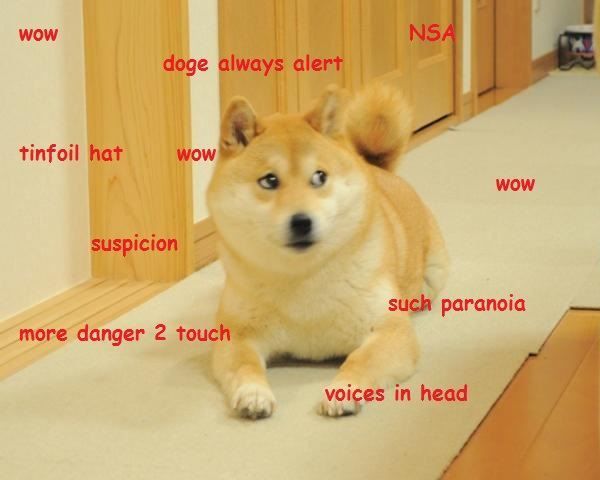 Wow nsa doge always alert tinfoil hat wow wow suspicion such paranoia more danger 2 touch voices in head
