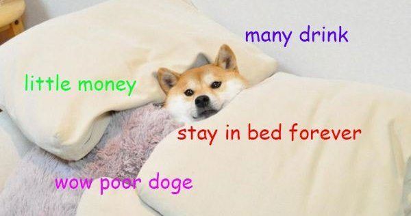 Many drink little money stay in bed forever wow poor doge