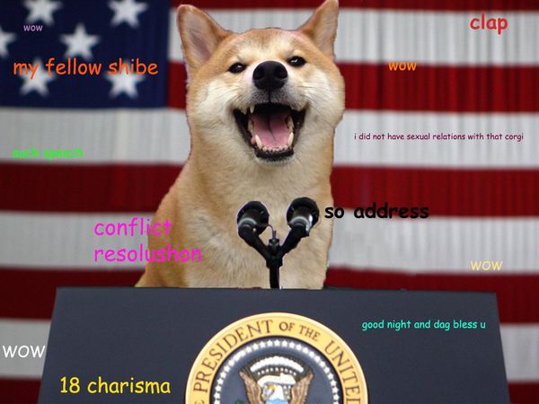 Wow clap my fellow shibe wow such speech i did not have sexual relations with that corgi conflict resolushon so address