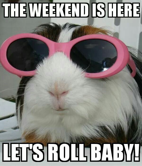 The weekend is here let`s roll baby!