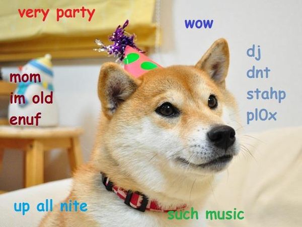 Very party wow mom im old enuf dj dnt stahp plox up all nite such music