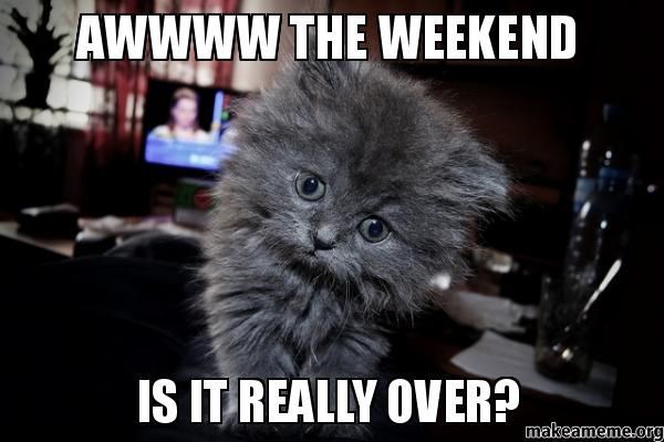Awwww the weekend is it really over?