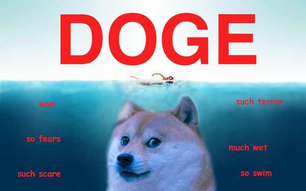 Doge wow such terror so fears much wet such scare so swim