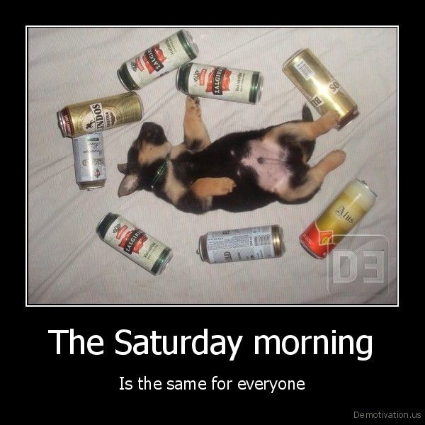 The saturday morning is the same for everyone