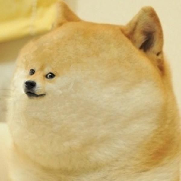 Funny Doge Face