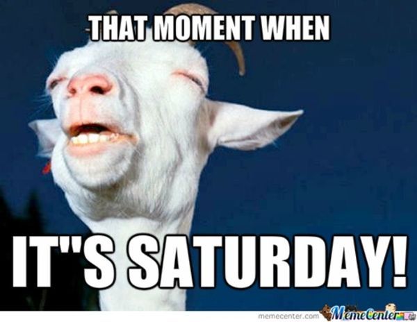 That moment when it`s saturday!