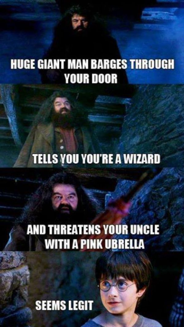 Best Harry Potter Memes 50 Funny Pictures With HP