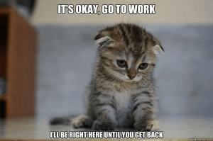 Hilarious Cat Memes to Make You Laugh Right Meow