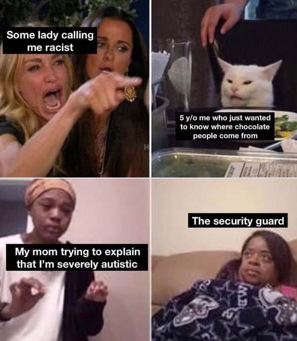 Really Funny Kitten Memes 1