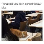 Hilarious Cat Memes to Make You Laugh Right Meow