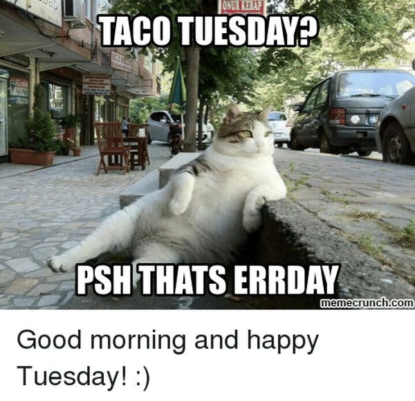 Tuesday Memes - Funny Happy Tuesday Pictures