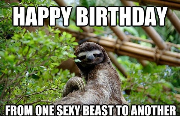 Birthday Wishes Meme For Friend