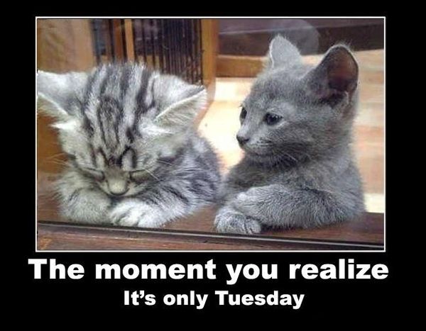 best only tuesday pics