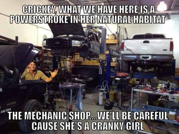 Ford Memes - Funny Ford Jokes and Pictures