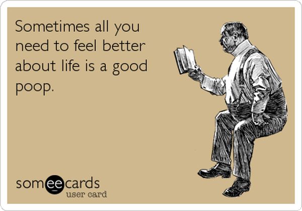 cool funny sayings about poop