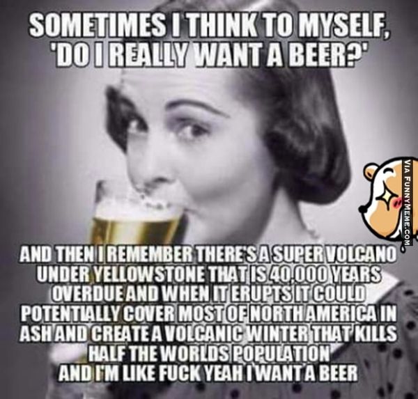cool i need a beer meme