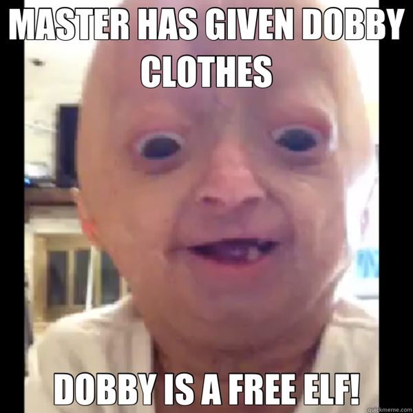 Best Harry Potter Memes, 50 Funny Pictures with HP