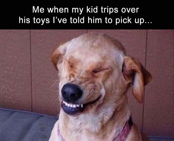 dog laughing meme 1
