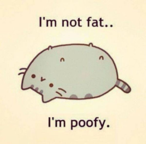 Great fat cat cartoon meme