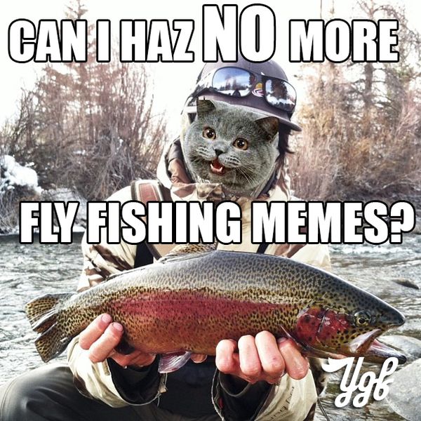 Smooth fly fishing meme
