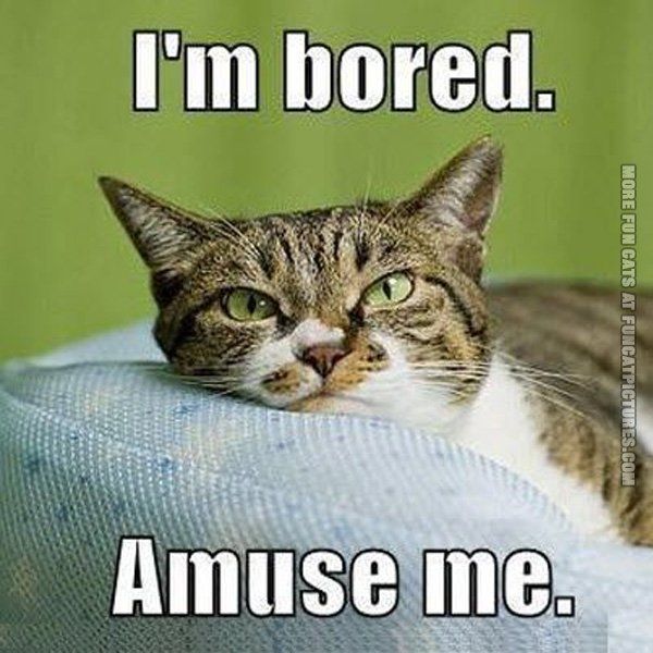 Bored Memes - Funny Boring Meme and Pictures