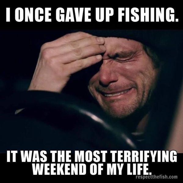 Perfect funny carp fishing meme
