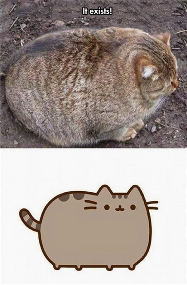 Funny Cat Cartoon Memes Funny Cat Cartoon Memes