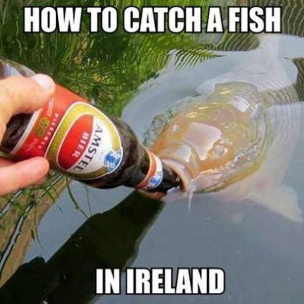 Remarkable funny fish pictures with captions
