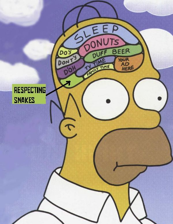 funny homer simpson drooling picture