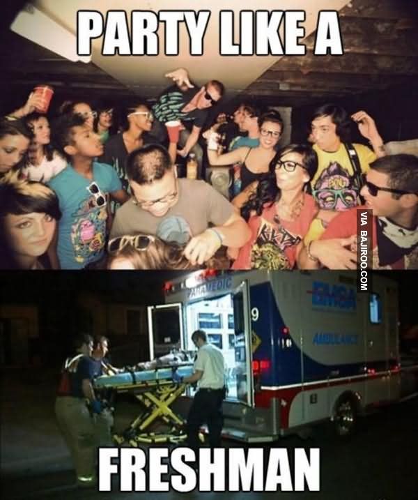 Party Memes - Funny Lets Party Meme and Pictures