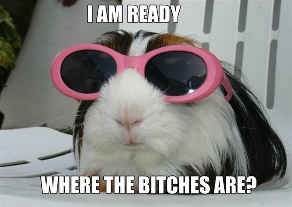 Perfect funny partying images