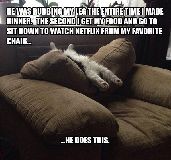 Nice funny pictures sunday