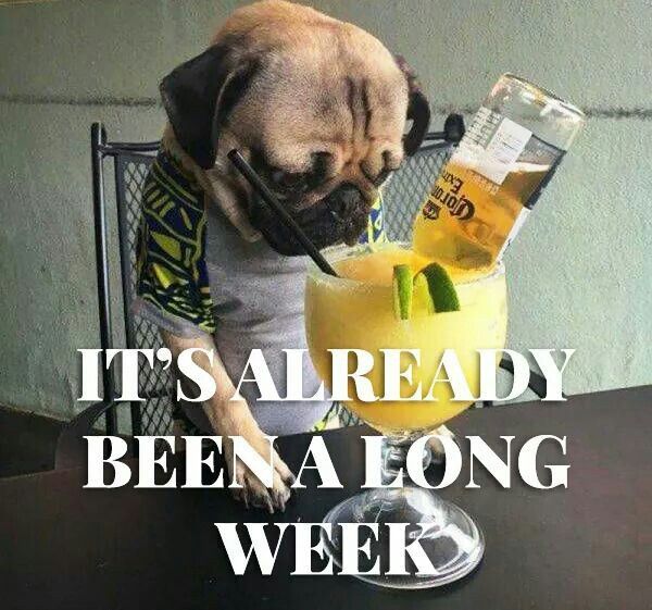 good only tuesday pics