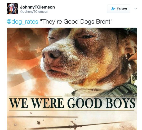 Excellent new good dog meme