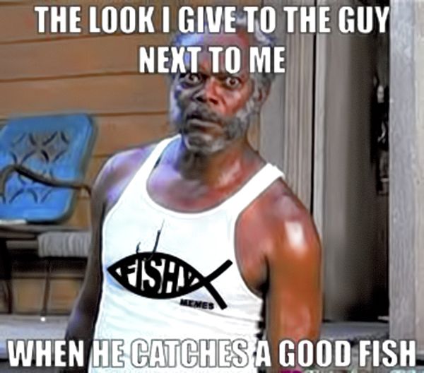 Terrific silly fishing meme