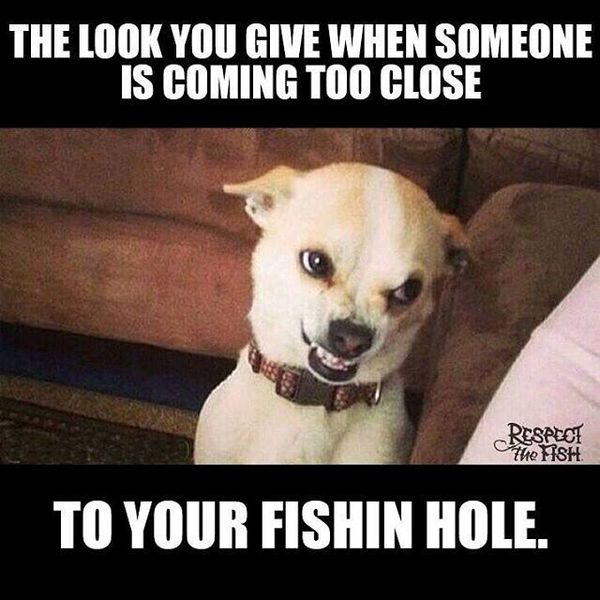Jolly silly fishing meme